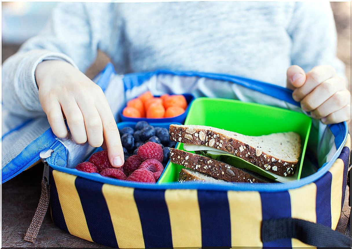 Child with a lunch box full of food to travel.