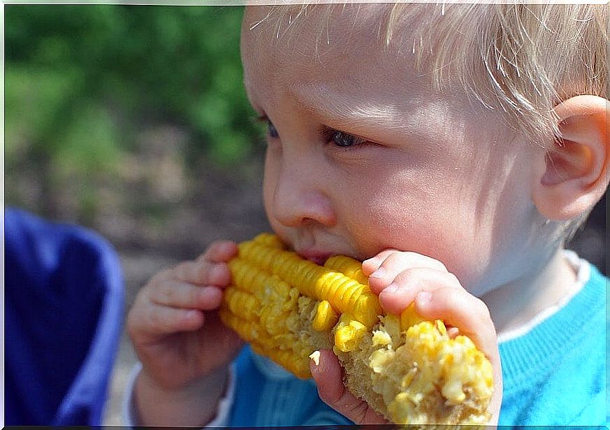 How do I keep my child on a vegetarian diet?