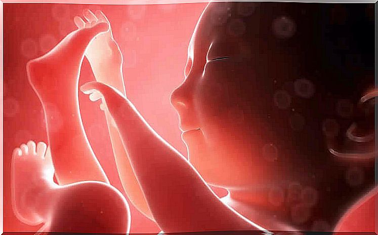 Do you know what the baby feels in the mother's womb?