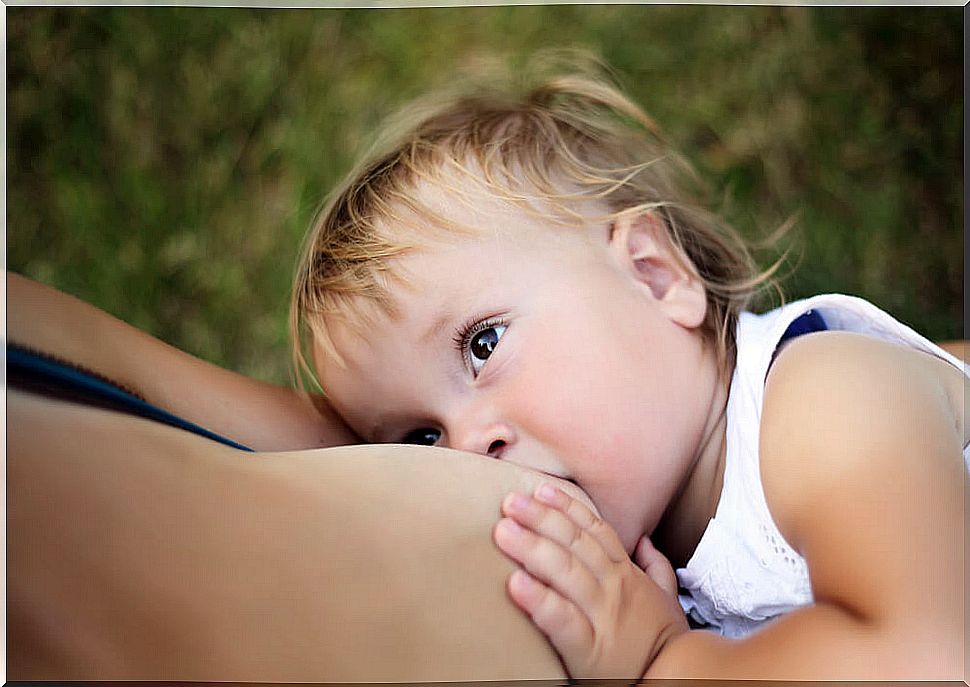 Older child breastfeeding